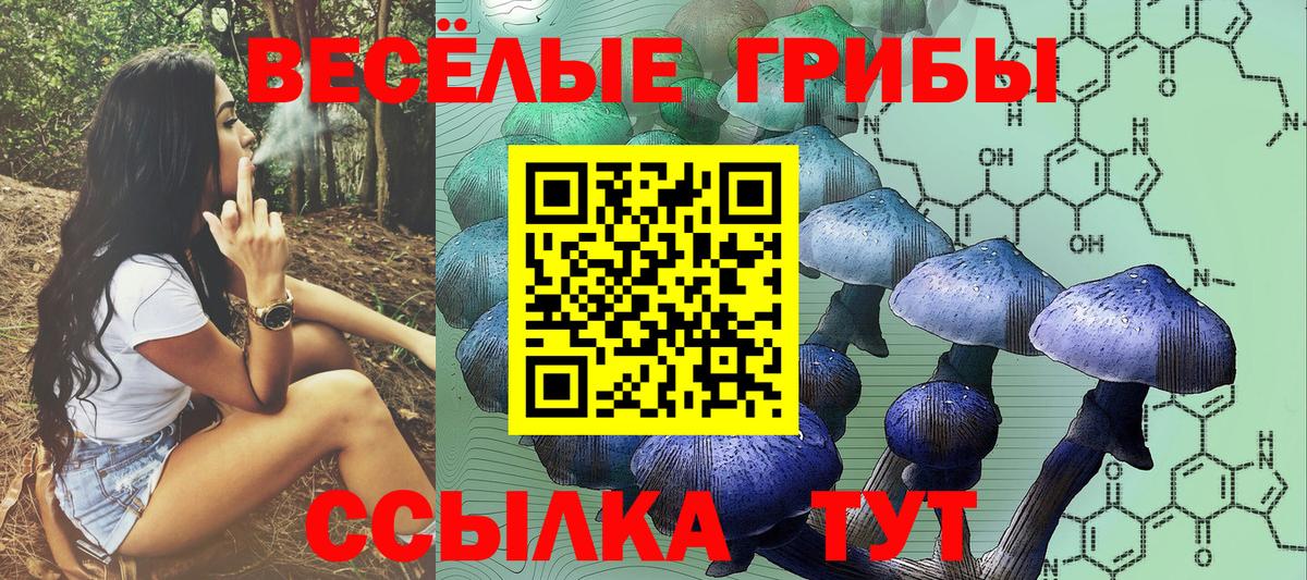 Псилоцибиновые грибы MAGIC MUSHROOMS  Вход с VPN  Звенигород  Псилоцибиновые грибы GOLDEN TEACHER 