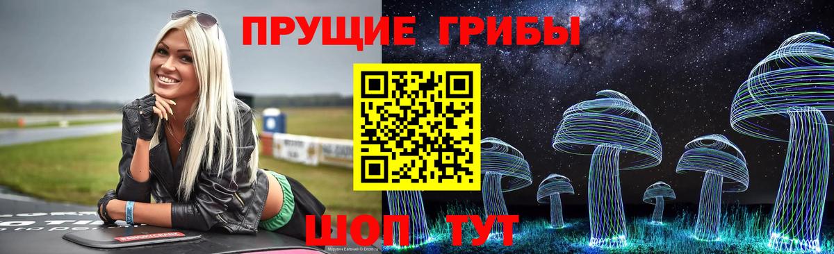 Псилоцибиновые грибы GOLDEN TEACHER Звенигород